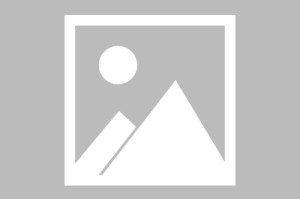 开元棋牌官方网站-中国队出战2026世界田联接力赛|田径世锦赛|中国田径队|汤星强|谢震业|苏炳添